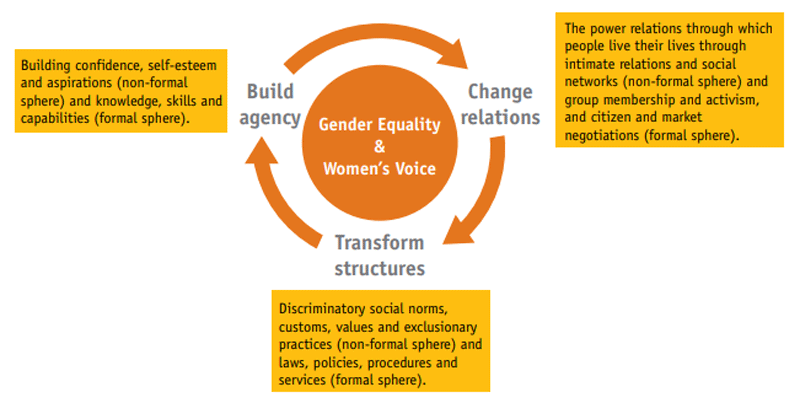 gender equality framework graphic
