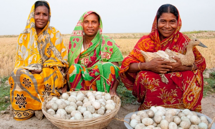 Duck farming, sustainable small business in Bangladesh. &copy; Angela Platt / CARE
