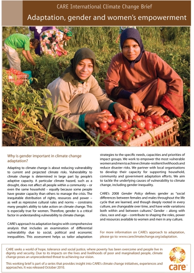 Adaptation, gender and women&rsquo;s empowerment