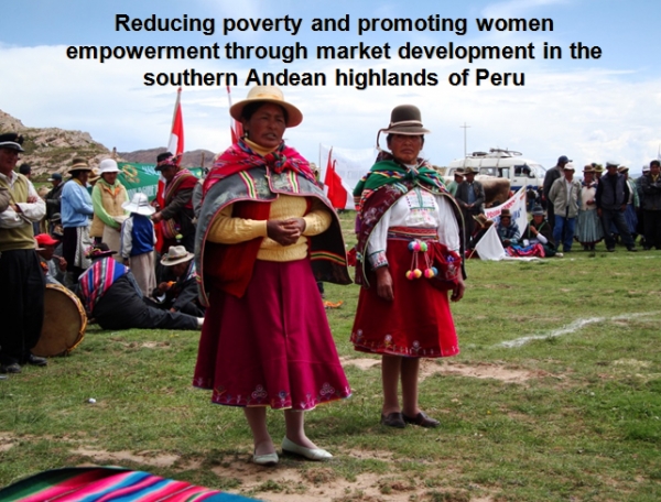Puno Impact Assessment