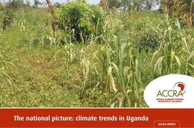 The national picture: climate trends in Uganda