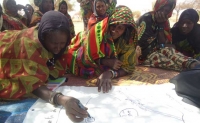 Women participating in a climate vulnerability and capacity analysis (CVCA) in Gorouol, Niger