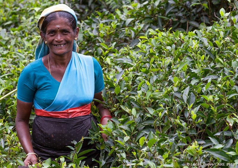 Tea worker, Sri Lanka
