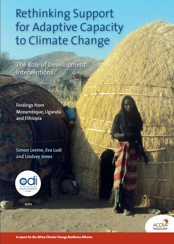 Rethinking Support for Adaptive Capacity to Climate Change: The Role of Development Interventions