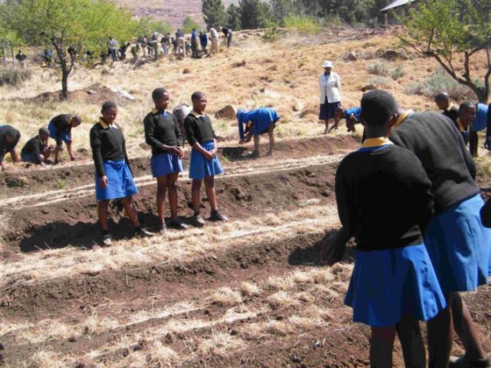 A school food programme in Lesotho