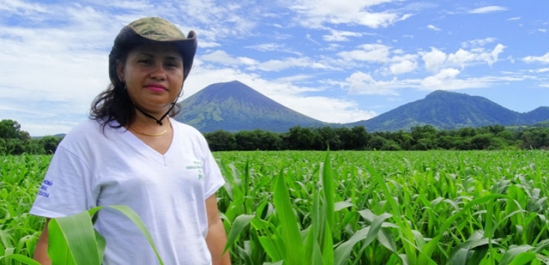 Reyna Araceli Reyes Sorto standing in a field of maize