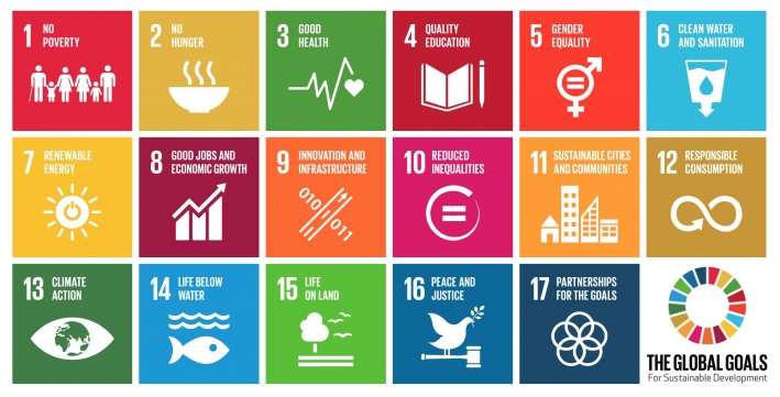 The 17 Global Goals