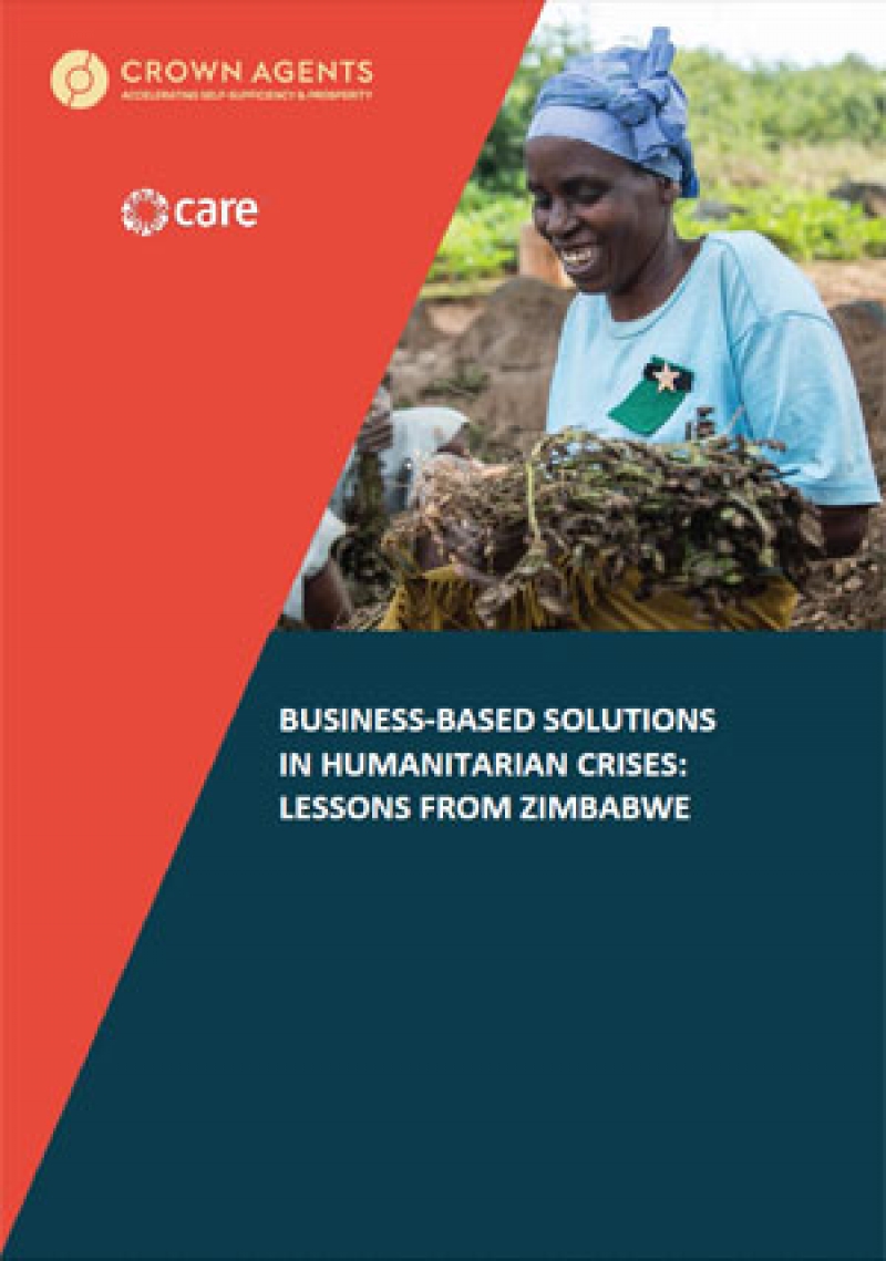 Business-based solutions in humanitarian crises: Lessons from Zimbabwe