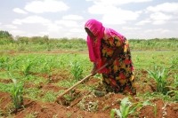 Rural communities are dependent on the land but are now facing new challenges from the effects of climate change, but supporting rural communities to learn about and adapt to climate change could make a big difference. &copy; CARE 