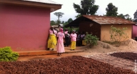 A women's VSLA group beside a crop of cocoa beans laid out to dry