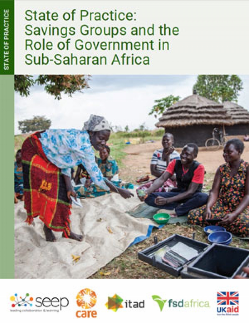 State of practice: Savings groups and the role of government in sub-Saharan Africa