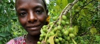 Hana Eliyas, a smallholder farmer in Ethiopia participating in the GRAD programme which aims to move food-insecure households towards value chain participation.