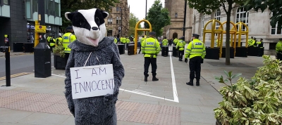 What was this badger doing outside the Conservative Party Conference?