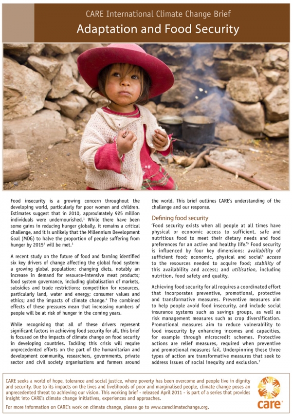 CARE Food Security Brief 2011