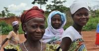 Cocoa farmers in Cote d'Ivoire participating in the Cocoa Life partnership