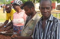 Cocoa workers in Ghana whom CARE works with as part of its partnership with Mondelez. &copy; CARE  