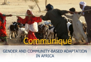 Gender and Community-based Adaptation in Africa