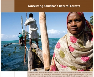 Conserving Zanzibar&rsquo;s Natural Forests