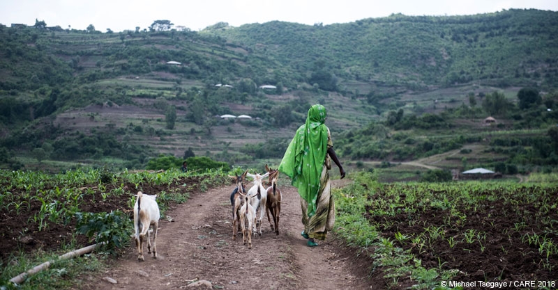 A woman with her livestock in Ethiopia