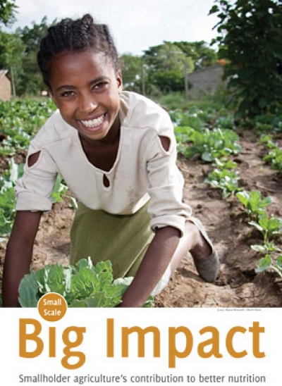 Small Scale, Big Impact: Smallholder agriculture's contribution to better nutrition