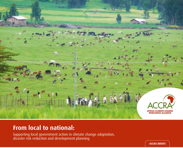From local to national: Supporting local government action in climate change adaptation, disaster risk reduction and development planning